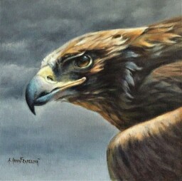 Golden Eagle